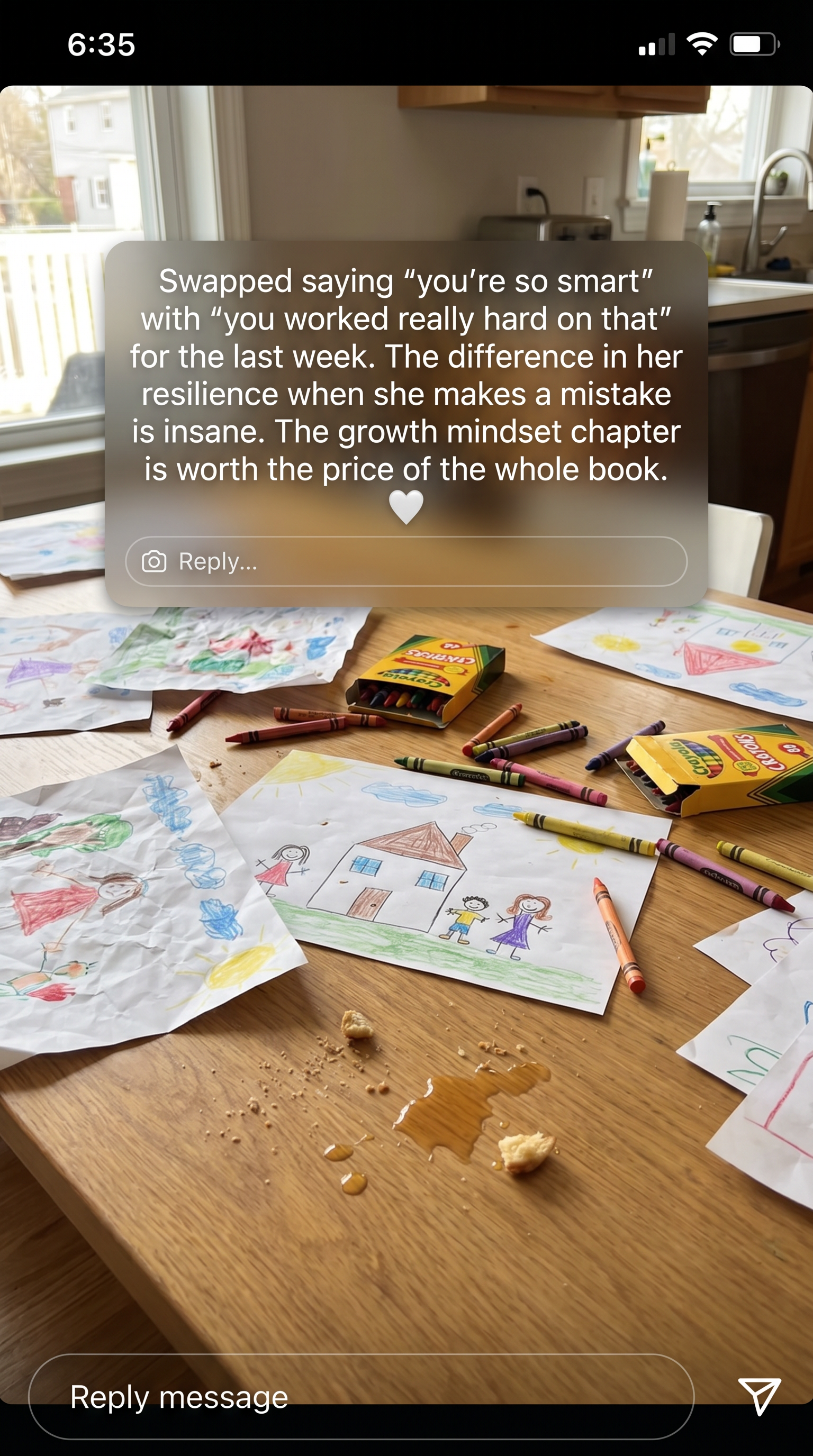 Instagram story about the growth mindset chapter
